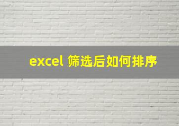 excel 筛选后如何排序